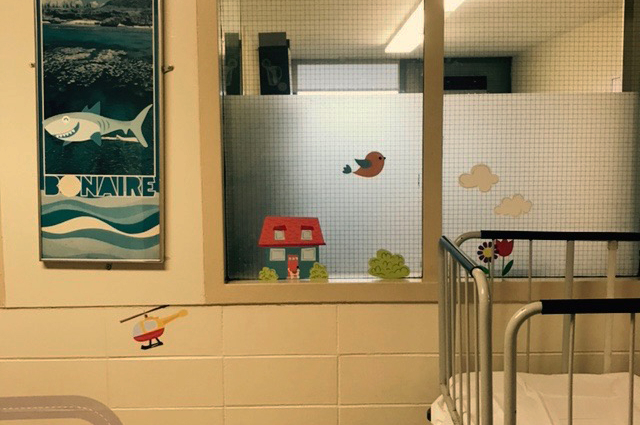 220DC5DD-491C-4E33-9ED7-72D1937816CD